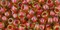 Toho 6/0 Round Japanese Seed Bead, TR6-303, Inside Color Jonquil/Hyacinth Lined